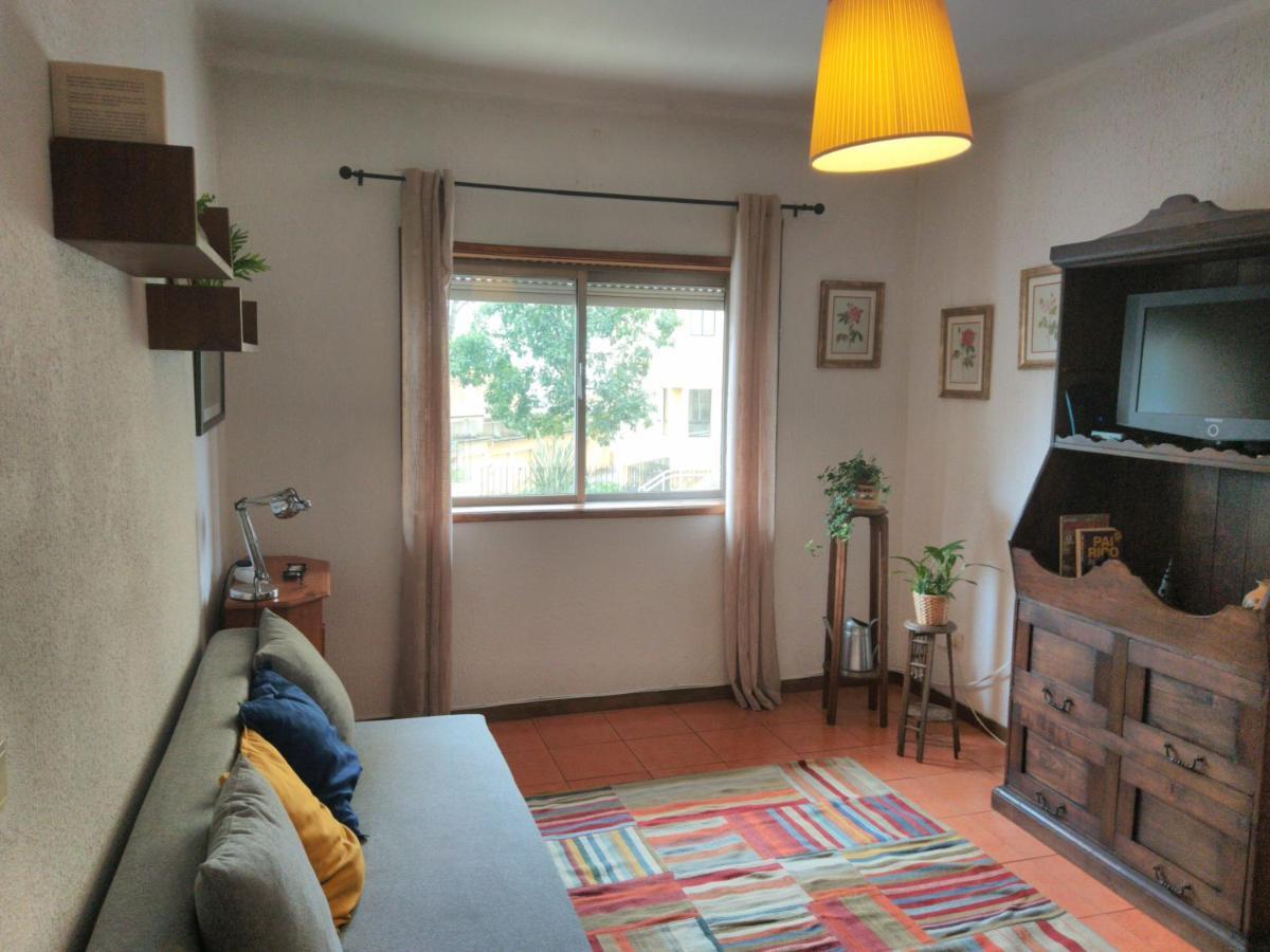! Free Parking Street ! Ground Floor With Washer! 포르투 외부 사진